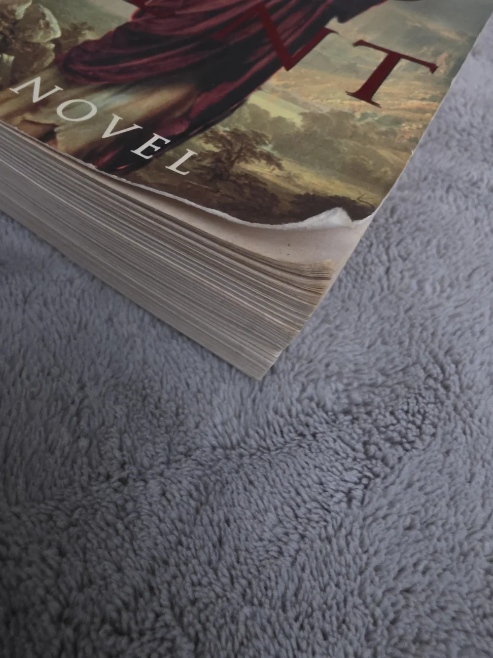 The Red Tent Novel - By Anita Diamant